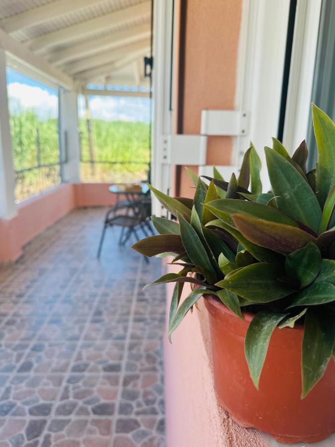 Venetian Gem Central Corfu Retreat Kanoni  Exterior foto